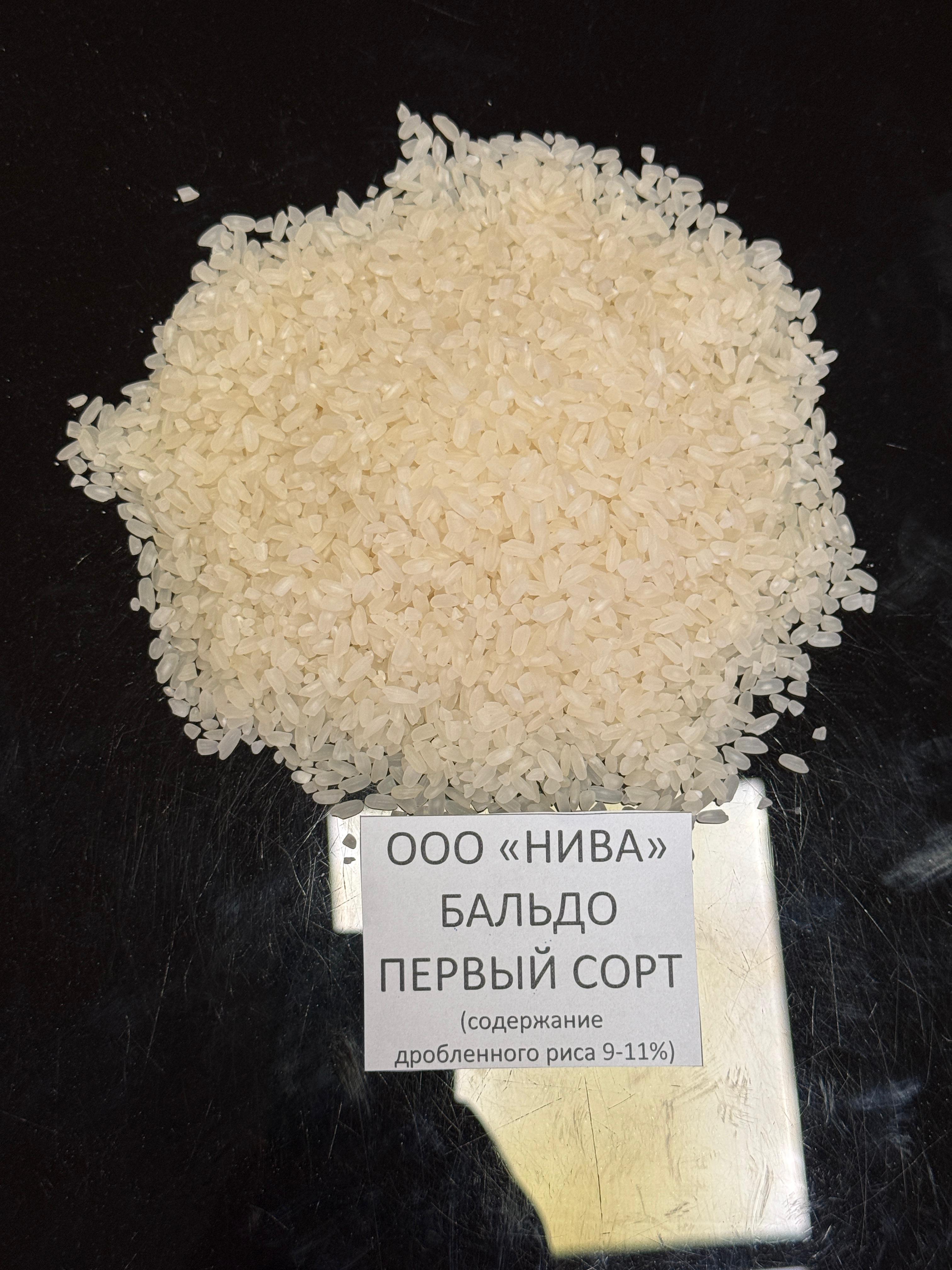 <Бальдо 1-й сорт