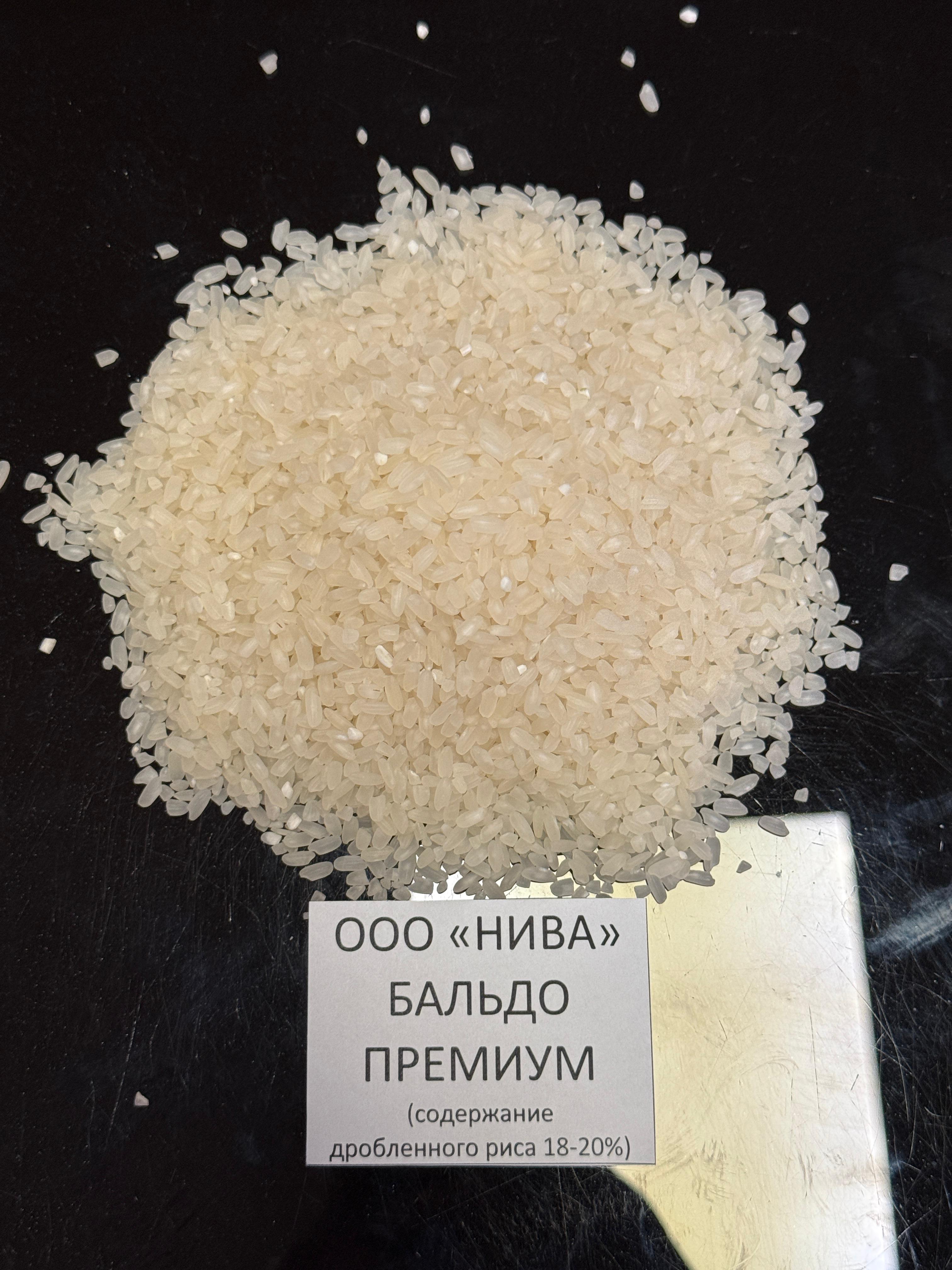 Бальдо премиум