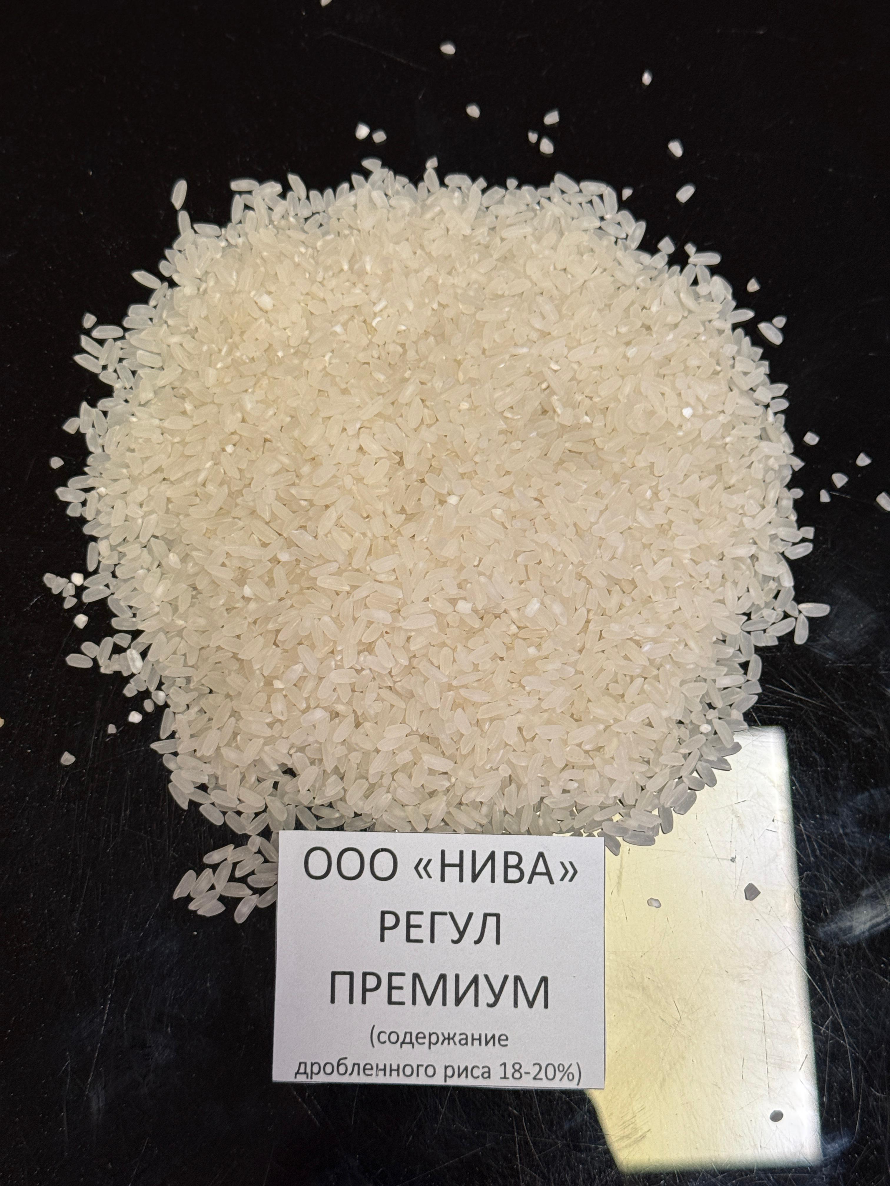 Регул премиум